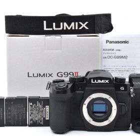 ★極美品★パナソニック Panasonic LUMIX DC-G99M2 ボディ ♯1747
