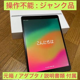 【ジャンク】 Apple iPad Air 第3世代 64GB 元箱他付属品付き