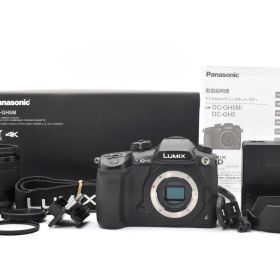 ★極上品★Panasonic パナソニック LUMIX GH5 DC-GH5M ミラーレスカメラ レンズキット 箱付き★A81