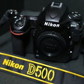 Nikon D500 美品〜並品 ショット数71000回