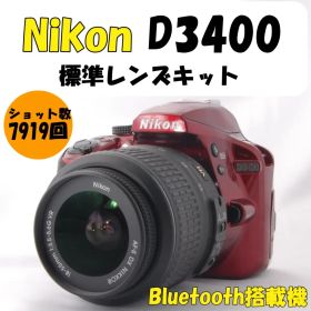 【低ショット数】Nikon D3400 レッド 一眼レフ カメラ 撮影 旅行