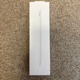 Apple Pencil (USB-C) ホワイト 元箱、カバー付き