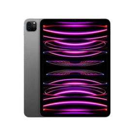 【新品・3営業日で発送】APPLE アップル MNXM3J／A APPLE iPad Pro iPadOS 16 11.0型（インチ） 2388×1668 Apple M2 16GB SSD 2TB Wi-Fiモデル Bluetooth v5.3...