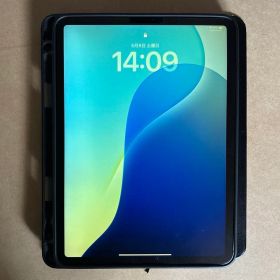 iPad pro 11インチ 第1世代 256gb WiFi＋セルラー 本体