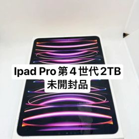 Ipad Pro 第4世代2TB スペースグレー59580