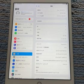iPad 第8世代 SIMフリー 32GB【Aランク】