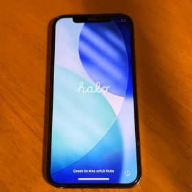 iPhone12pro
