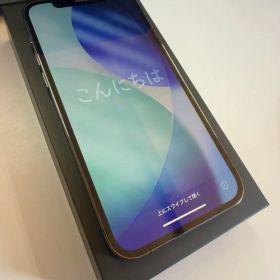 Apple iPhone 12Pro グラファイト 256GB SIMフリー