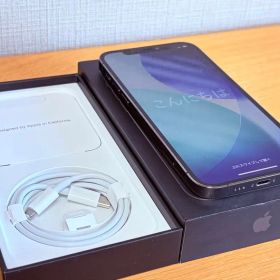 Apple iPhone 12Pro 256GB グラファイト 本体＋付属品