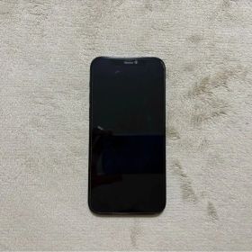 Apple iPhone 12 pro