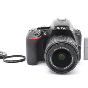 ★極上品・ショット回数42回★ ニコン NIKON D5600 AF-S 18-55mm F3.5 5.6GII DX VR #4899W0553