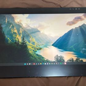 Wacom Cintiq Pro 24 + Flex Arm