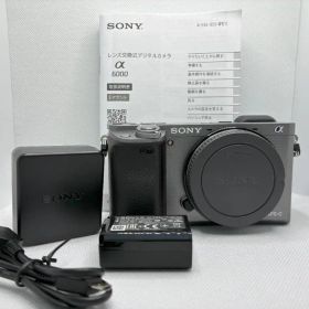 英語他多言語対応OK SONY α6000 silver ILCE-6000