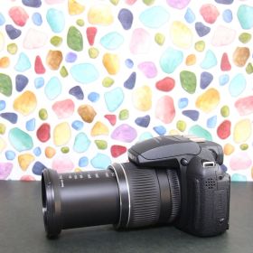 ♥︎◇FUJIFILM finepix HS10 ◇高性能コンデジ ◇美品