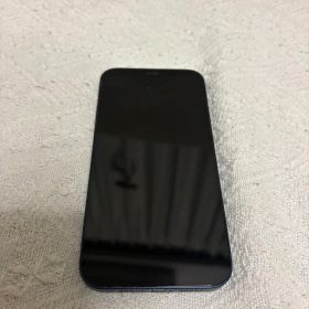 Apple iPhone 12 本体 青