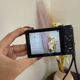 SONY DSC-WX500 コンパクトデジタルカメラ