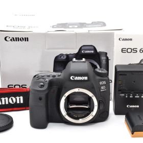 【返品保証】美品｜Canon キヤノン EOS 6D Mark II mark2 デジタル一眼カメラ 《ショット数：9863回》 #C260510-35