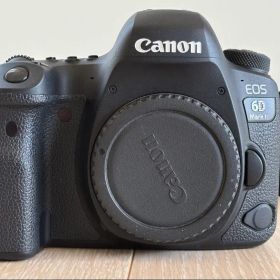 Canon EOS 6D Mark II デジタル一眼レフカメラ ボディ