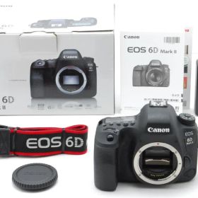 ショット数7600 極美品 Canon EOS 6D Mark II #299