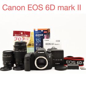 デジタル一眼レフカメラCanon EOS 6D mark IIダブルレンズセット
