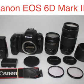 美品 Canon EOS 6D Mark II標準&望遠ダブルレンズセット