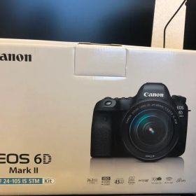 EOS6DMarkII EF24-105 IS STM すぐ使えるセット