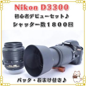 Nikon D3300 Ｗレンズセット 初心者おススメポイント シャッタ数少