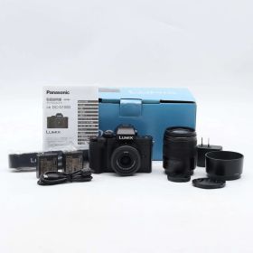 ショット数1517回 パナソニックLUMIX DC-G100DW ダブルズームキット #1182