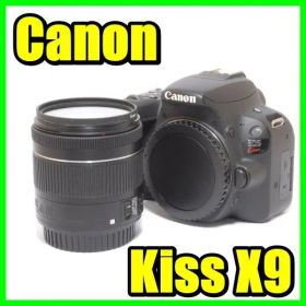 ⭐️美品 すぐに始めれる Canon Kiss X9 標準レンズセット