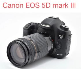 Canon EOS 5D mark III/CANON EF 75-300mm