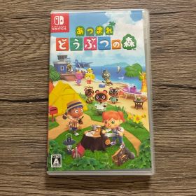 あつまれ どうぶつの森 Nintendo Switch