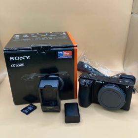 SONY α6500 ミラーレス一眼 ボディ B265