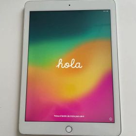 【完動品】iPad 第6世代 32GB SIMフリー【付属品】