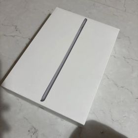Apple iPad (第6世代) 32G