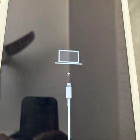 Apple iPad 第6世代 32GB 箱無し ジャンク品扱い
