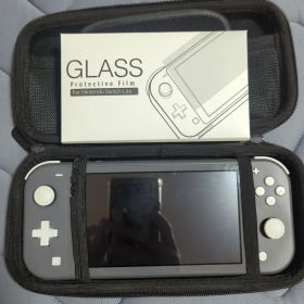 Nintendo Switch Lite グレー 本体＋ケース＋新品フィルム