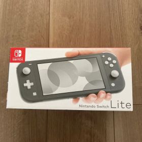 Nintendo Switch Lite グレー 充電器付き 箱付き