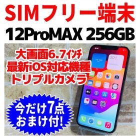 SIMフリー iPhone12ProMAX 256GB 1320 電池良好