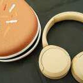 可愛い限定品!! PAPICO WH-CH520 SONY