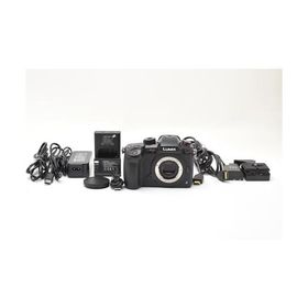 パナソニック ミラーレス一眼カメラ ルミックス GH5S ボディ ブラック DC-GH5S-K