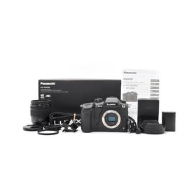 パナソニック(Panasonic) ミラーレス一眼カメラ ルミックス GH5 レンズキット 標準ズームレンズ付属 ブラック DC-GH5M-K