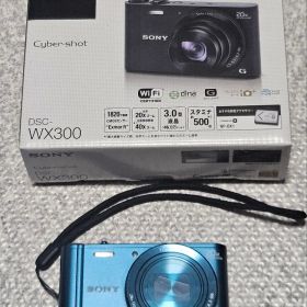 SONY Cyber-shot DSC-WX300 青
