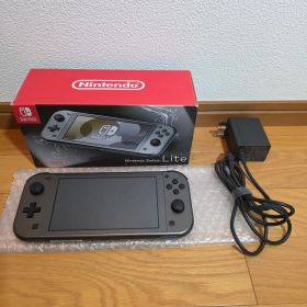 Nintendo Switch Lite ディアルガ・パルキア 動作確認済