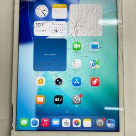 【訳あり品】iPad mini 5 7.9インチ Wi-Fiモデル 64GB シルバー【保証なし】