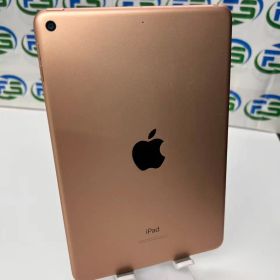 iPad mini 第5世代 Wi-Fi 64GB ゴールド MUQY2J/A A2133 訳あり ヤケ小 ジャンク 使用可能 バッテリー97%