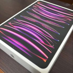 【極美品】iPadPro11 第4世代 128GB Wi-Fi+Cellular