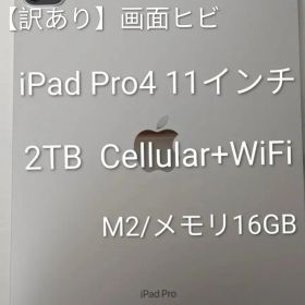 【画面ヒビ】iPad Pro 11インチ 第4世代 Wi-Fi ＋ Cellular 2TB 2022年モデル M2/16GB