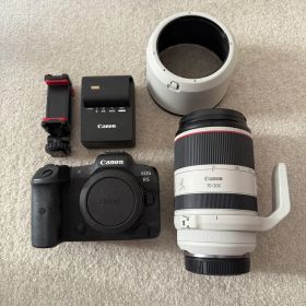 Canon EOS R5 / RF70-200 F2.8 L IS USM