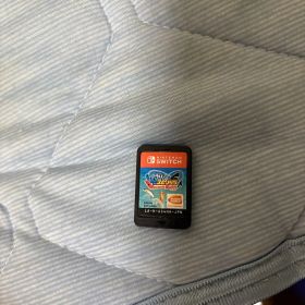 釣りスピリッツNintendo Switch バージョン カセット