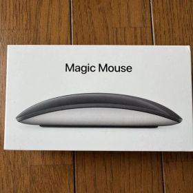 【使用頻度低・動作確認済】Apple Magic Mouse 2 スペースグレイ